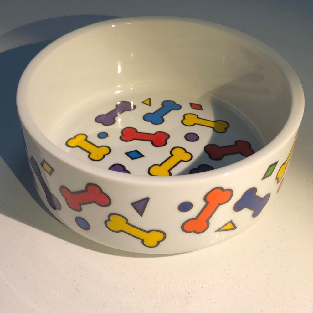 Ceramic large Dog Bowl with Colorful Bone Pattern - White